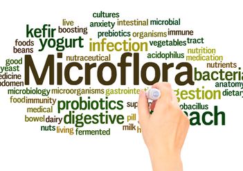 Microflora